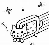 Cat Coloring Fantasy Coloringcrew Pages sketch template