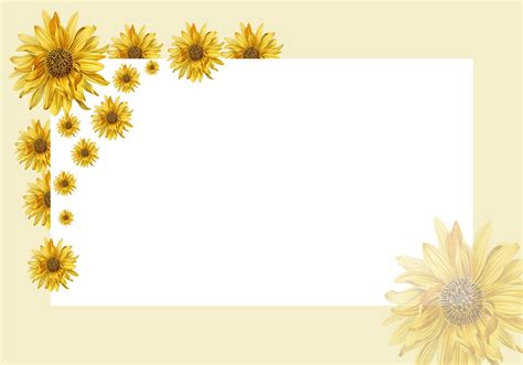 sunflowers card invitation blank  stock photo public domain pictures
