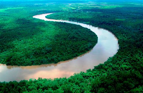 manfaat sungai bagi kehidupan  lingkungan hidup alam sehat