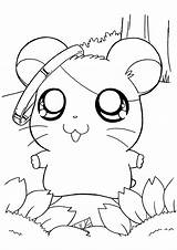 Hamster Hamtaro Hamsters Cute Colorir Coloriages Ausmalbilder Kawaii Colouring Manatee Animaatjes Kana Dxf sketch template