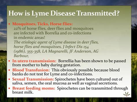 Ppt Symptoms Common And Less Common Lyme Disease Free Download Nude