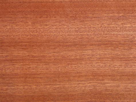 mahogany veneer  oosstock  deviantart