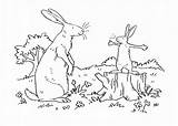 Much Guess Coloring Pages Hare Big Nutbrown Te Quiero Adivina Carefully Listen Charts Drawing Mom Color Getcolorings Getdrawings Print Sunshine sketch template