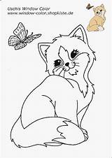 Katzen Malvorlagen Kostenlos Katze Schmetterling Uschis Eulen Coloring Ausmalen Katzenbabys Ausdrucken Ausmalbild Ostern Windowcolor Einhorn sketch template