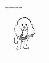 Dog Coloring Fluffy Printable Pages Dogs Pet Animals Color Clipart Cartoon Puppy Library Cute Template Popular sketch template