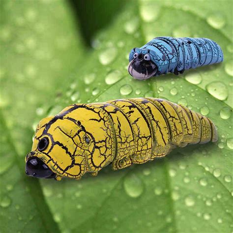 abbyfrank trick scary rc insect model toy simulation moving caterpillar