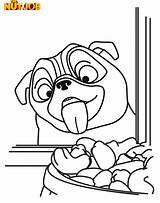 Coloring Pug Pages Printable Dog Colouring Az Popular Kids Azcoloring Choose Board Coloringhome Books sketch template