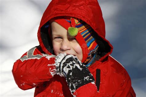 toddler boy   snow stock photo image  gloves