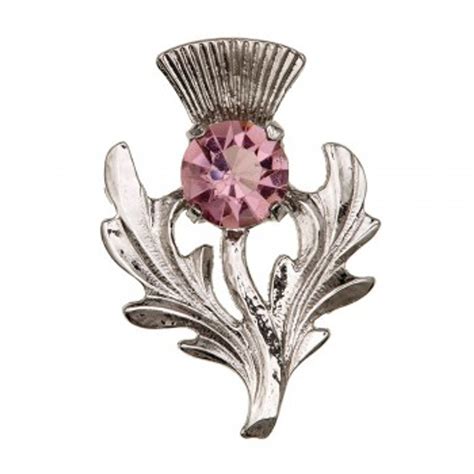 amethyst thistle brooch scottish lion