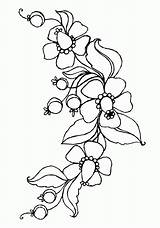 Flowers Print Coloring Pages Printable Kids Popular Library Clipart sketch template