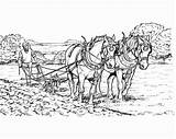 Aratro Plow Cavallo sketch template