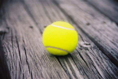 tennis balls   photo  freeimages