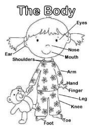body parts  kids coloring pages coloring home body parts worksheet