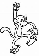 Monkey Coloring Pages Print Kids Banana Tulamama Easy sketch template
