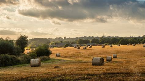 record year  farm land  residential transactions frazer coogans