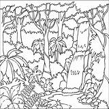 Tropical Coloring Rainforest Drawing Pages Getdrawings sketch template