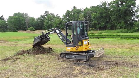 mini hoe skidsteer work treeremoval hedgetrimming fallcleanup treepruning landscaping