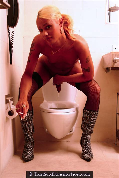 shemales pissing in toilet photos and other amusements