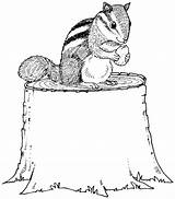 Chipmunk Coloring Pages Chipmunks Animals Stump Popular sketch template