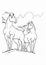 Pferde Wiese Pferd Malvorlagen Wildpferd Pony Rodeo sketch template