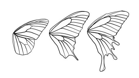 butterfly wing art