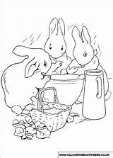 Coloring Beatrix Potter Pages Rabbit Peter sketch template