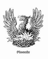 Phoenix Mythical Coloring Creatures Pages Medieval Fantasy Sheets Mythological Animals Bird Activity Printable Beasts Fenix Para Beast Rising Griffin Myth sketch template