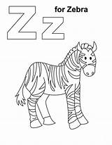 Zebra Coloring Pages Color Preschool Drawing Alphabet Print Choose Board Getdrawings sketch template