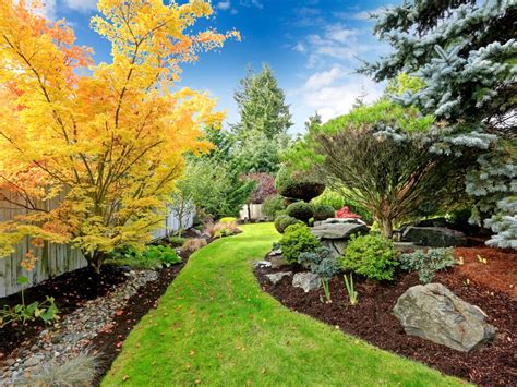 3 Most Popular Mulch Options For Your Yard Southwest Boulder And Stone