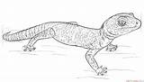 Gecko Leopard sketch template