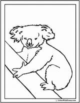 Koala Coloring Realistic Pages Forever Australia Printable Kids Colorwithfuzzy sketch template