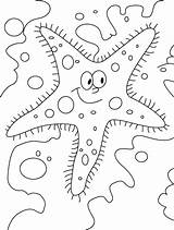 Starfish Coloring Outline Printable Fish Star Glaring Sheet Coloring2print sketch template
