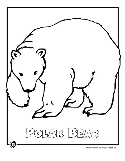 coloring pages arctic bear coloring pages polar bear coloring