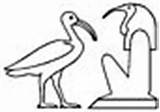 Scarlet Ibis Coloring Pages Animals sketch template