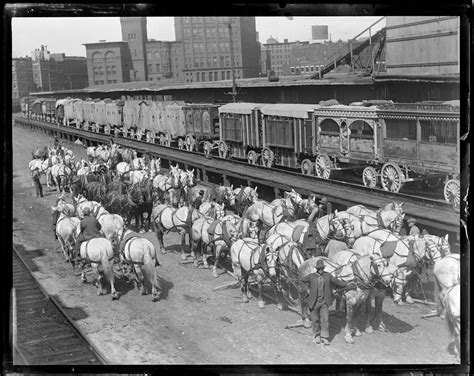 circus train  horses arrive  boston digital commonwealth