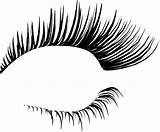 Eyelashes Transparent Eyelash Clipart Clip Extensions Library sketch template