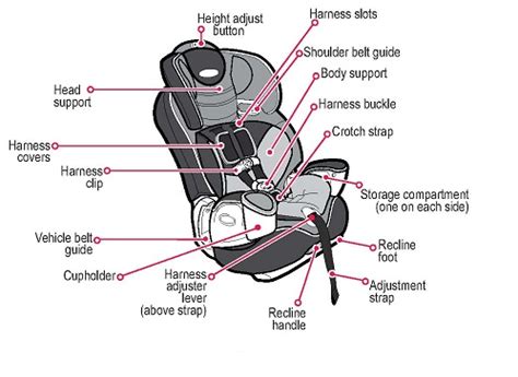 diagram  car seats