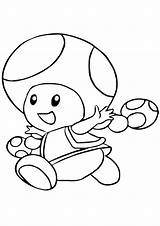 Toadette Toad Luigi Ausmalbild Ausdrucken Nintendo sketch template