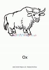 Colouring Outline Activityvillage Oxen Designlooter sketch template