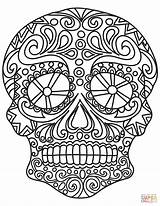 Coloring Pop Sugar Pages Skull Roy Lichtenstein Adults Adult Printable Colorings Color Skulls Drawing Getcolorings Dot sketch template
