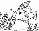 Fish Coloring Pages Printable Drawing Ocean Seafood Tropical Butterfly Kids Color Getcolorings Realistic Comely Paintingvalley sketch template