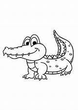 Coloring Alligator Crocodile Indiaparenting sketch template