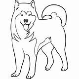 Dog Malamute Coloring Pages Alaskan Printable Kids Online Dogs Color Cute Funny Toddler Fun Top Questions Guard Cocker Spaniel Corgi sketch template