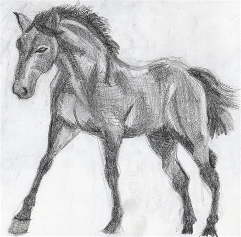 britts graphics animal drawing practice horses
