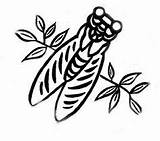 Cigale Cicada Tsh Chant Provence Paca Motifs sketch template