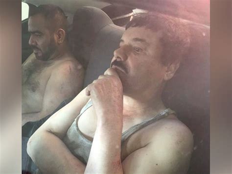 mexican drug lord el chapo captured after months on the run abc news