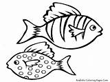 Fish Coloring Pages Aquarium Printable Realistic Kids Sheet Oscar Providing Guffy Sword Tail Pencil sketch template