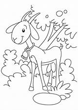 Goat Coloring Pages Tree Printable Under Kids Colouring Bell Cute Easter Dare Ring Lamb Animals Worksheets Toddler Print Farm Color sketch template