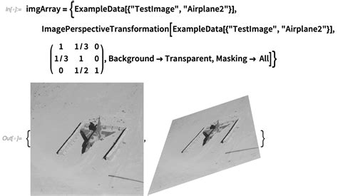 wolfram neural networks boot camp recap dog  butterfly optical