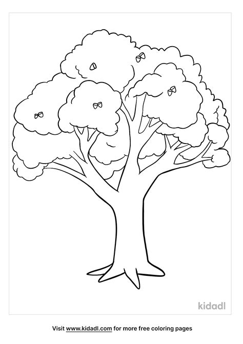 oak tree coloring page  nature coloring page coloring home